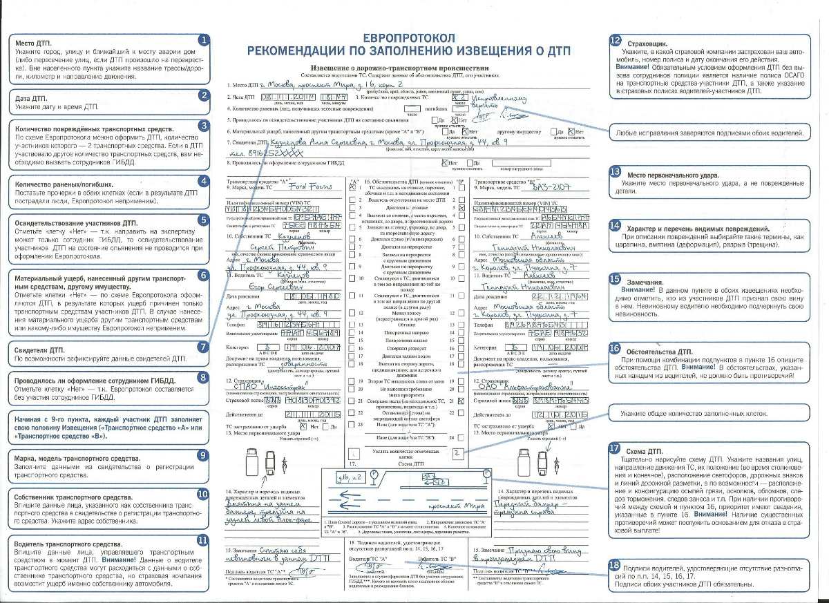 Протокол дтп образец заполнения