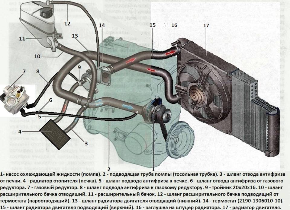 Схема системы охлаждения двигателя лада калина: фото, видео