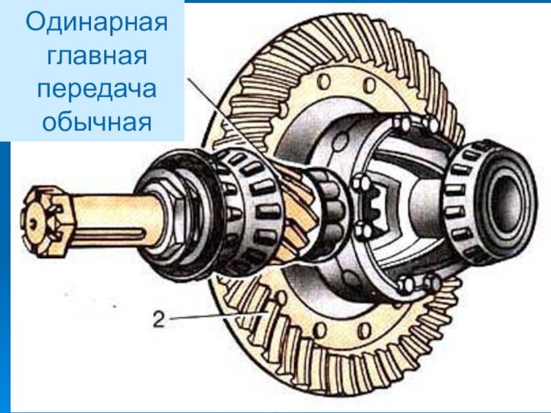 Редуктор заднего моста в разрезе