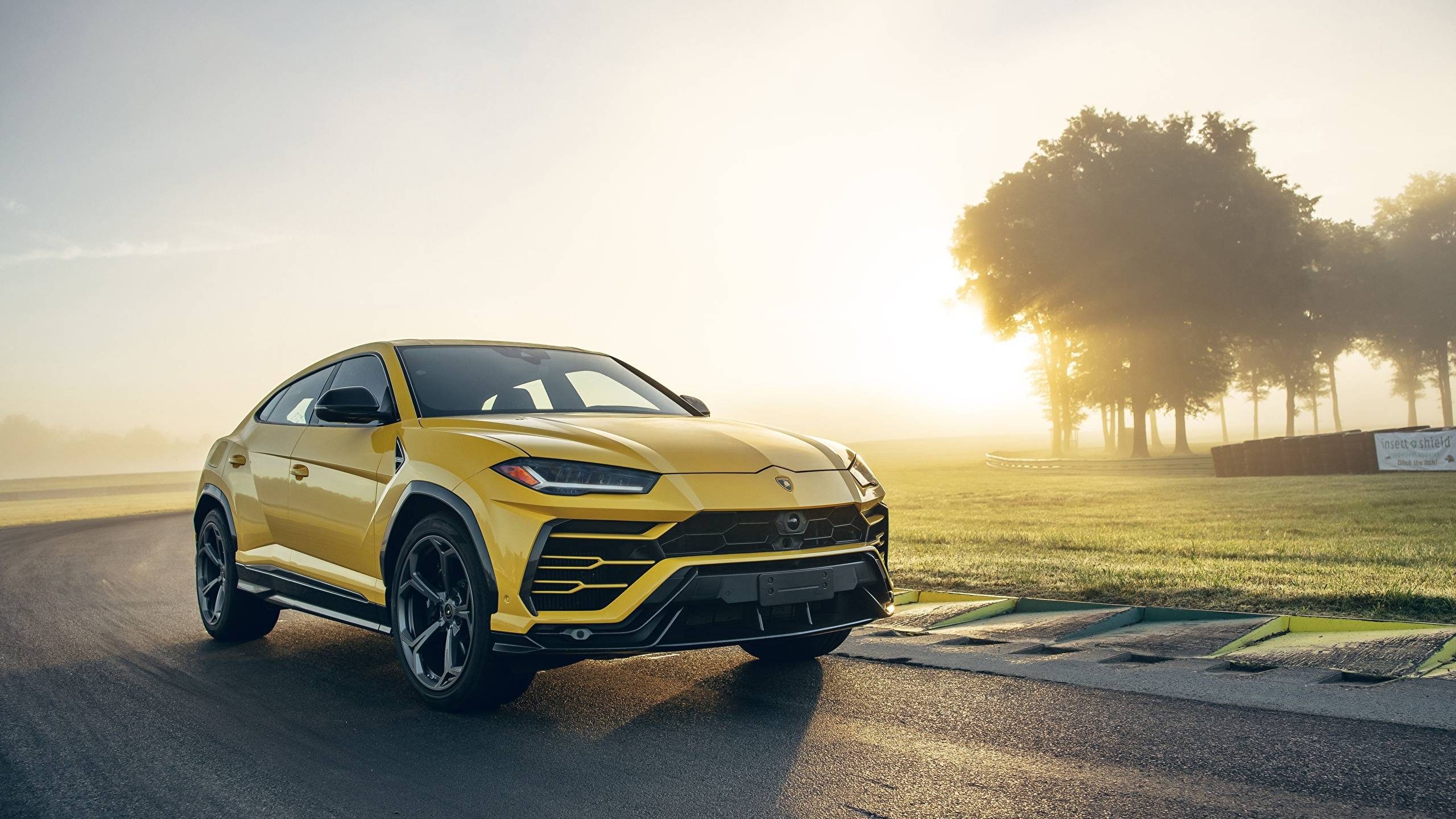 Lamborghini Urus 2019 С„РёРѕР»РµС‚РѕРІС‹Р№