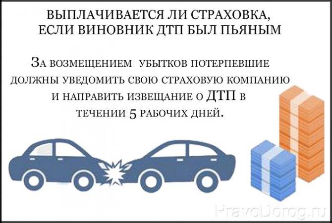 Произошло дтп, у виновника нет страховки: кто возместит ущерб