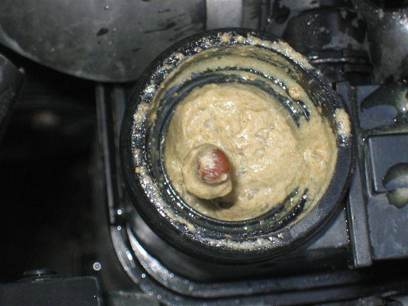 Масло в антифризе – неприятные последствия для двигателя