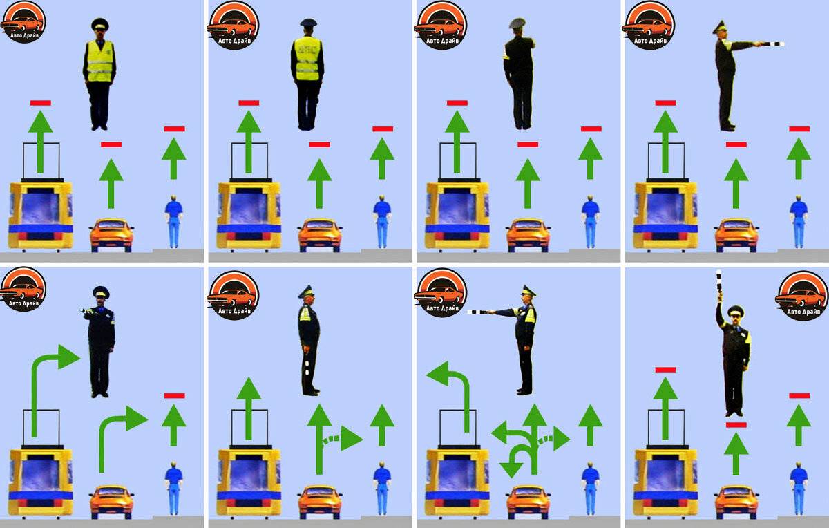 Сигналы и жесты регулировщика в картинках с пояснениями в 2022 году - для пешеходов и водителей, пдд