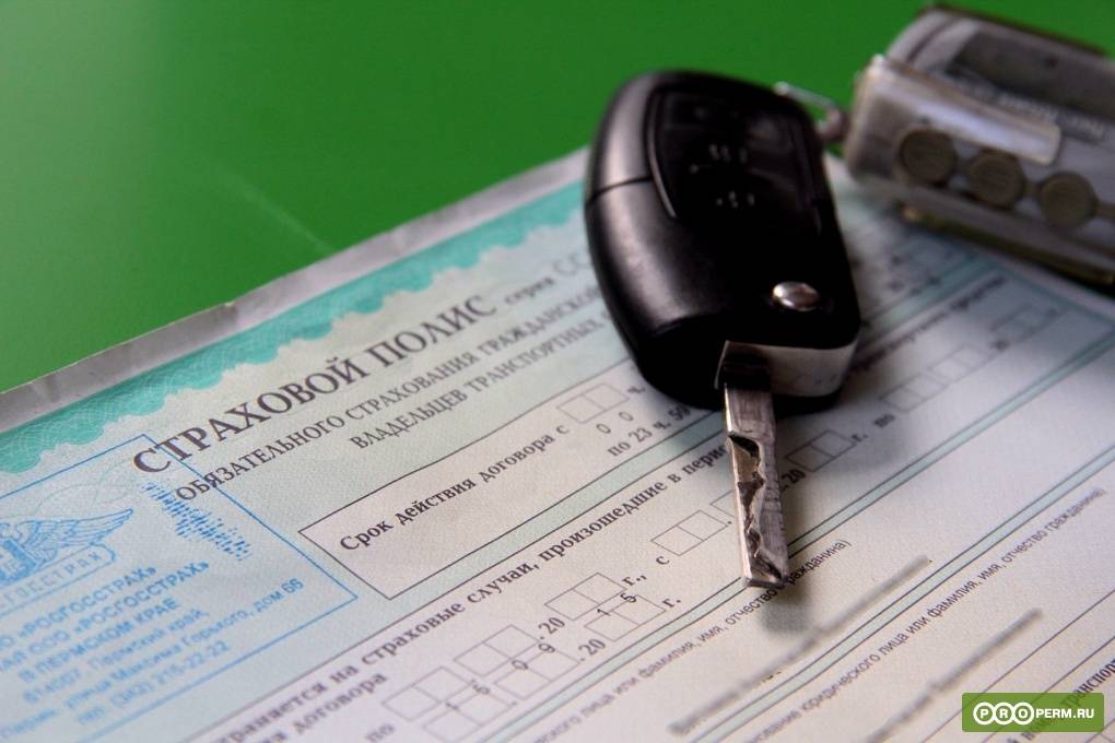 Осаго для начинающего водителя:стоимость полиса и факторы влияющие на цену страховки? | dorpex.ru